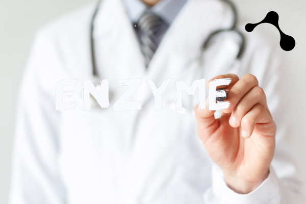 Enzyme für die Verdauung bei Darmerkrankungen wie Reizdarm und Co