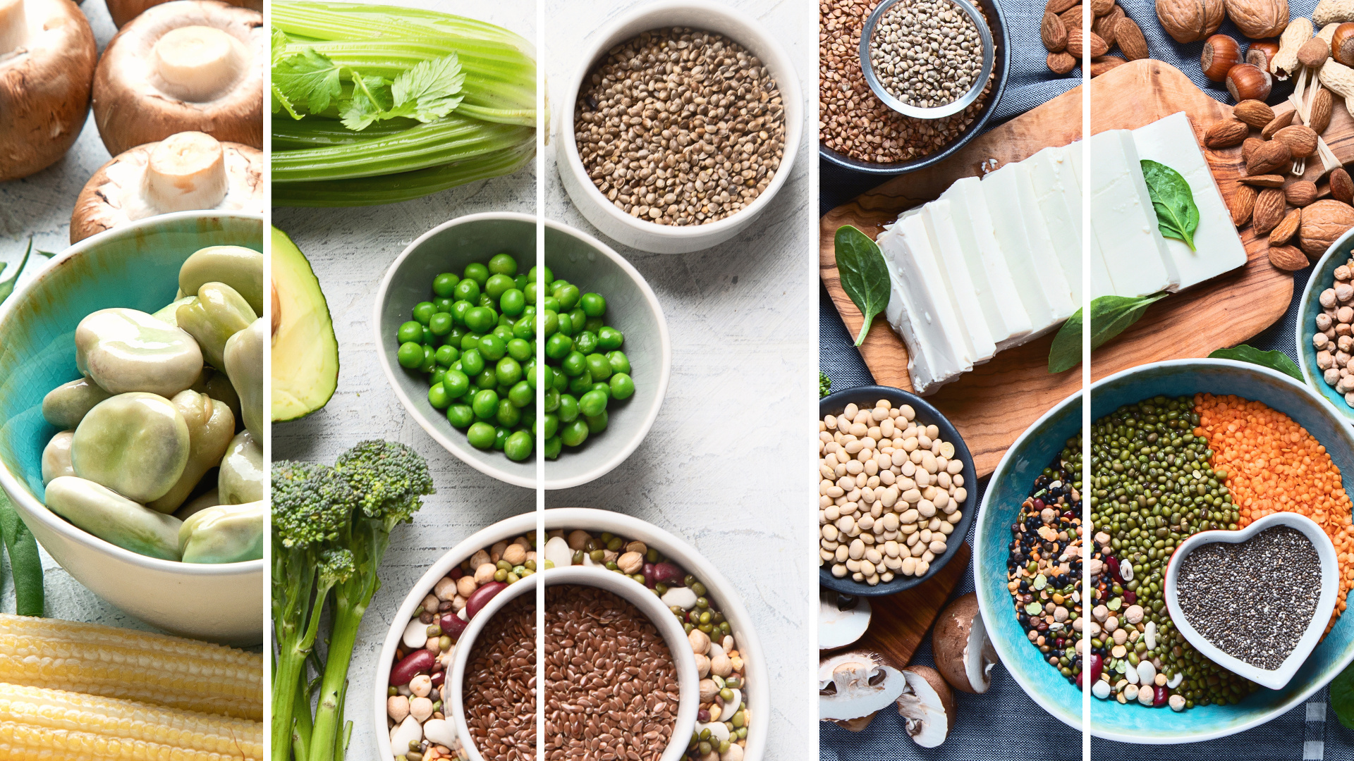 Ballaststoffunverträglichkeit bei SIBO und Reizdarm, und wie Du den Darm unterstützt, ohne die Fermentation zu fördern.