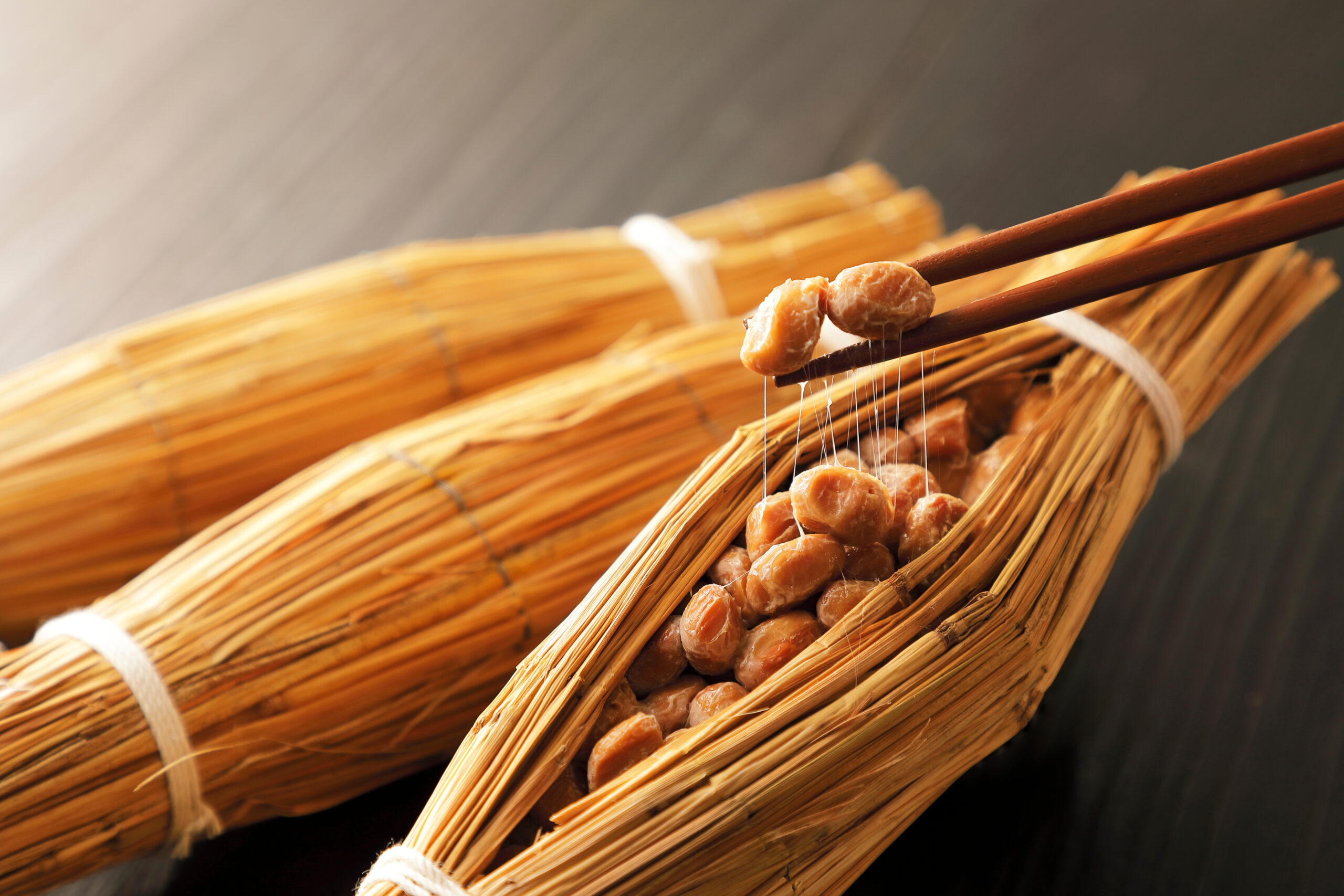 Natto enthält Bacillus subtilis