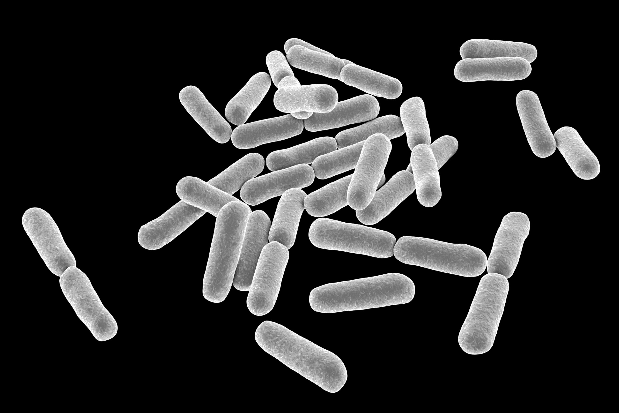 Bacillus clausii kann bei Durchfall und Reizdarm helfen