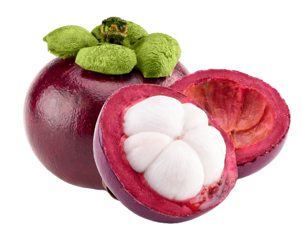 Saccharomyses boulardii wurde aus der Mangostanfrucht isoliert