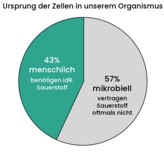 Ursprung der Zellen in unserem Organismus