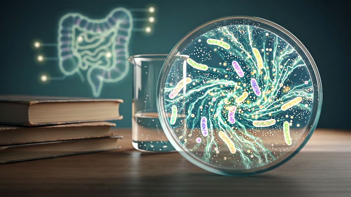 Der große Probiotika Guide – Von klassischen Stämmen bis hin zu Next-Generation Probiotika und Sporenbildnern