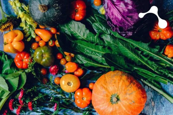 Die Ballaststofflücke: Darum sind Präbiotika für unsere Gesundheit so bedeutend