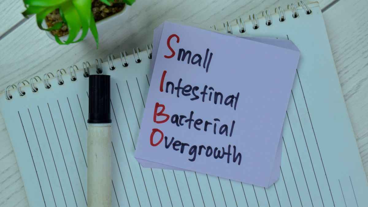SIBO-Guide – Symptome, Diagnose und Ernährung bei Dünndarmfehlbesiedlung